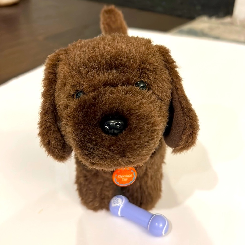 American Girl Doll Chocolate Lab Toy and Accessories!